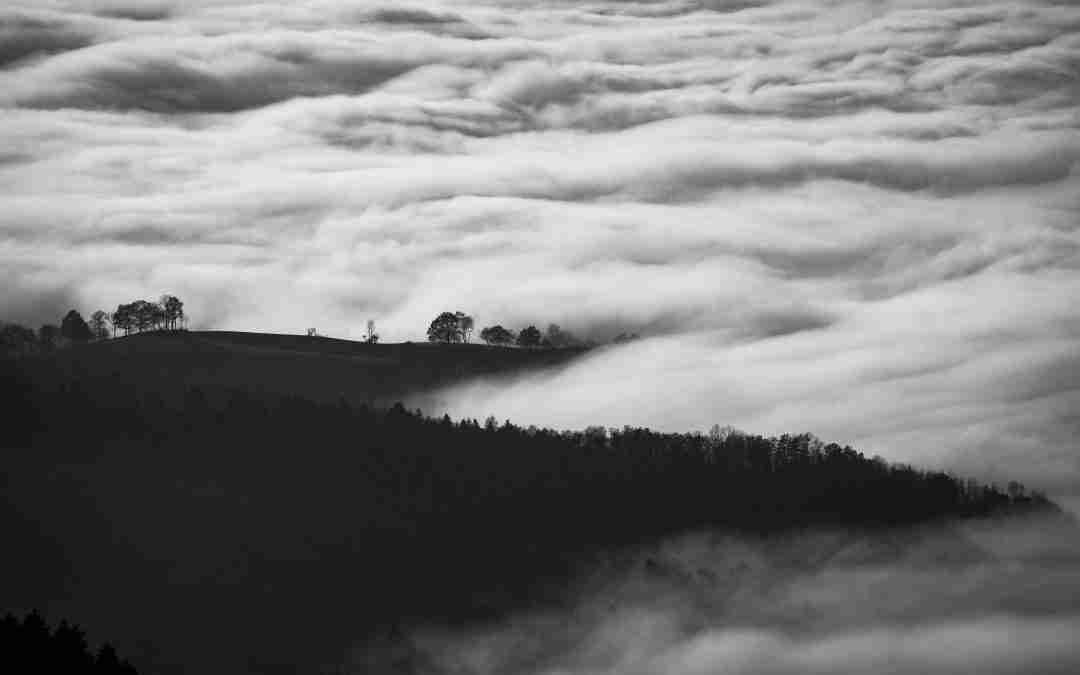 In The Midst Of The Storm