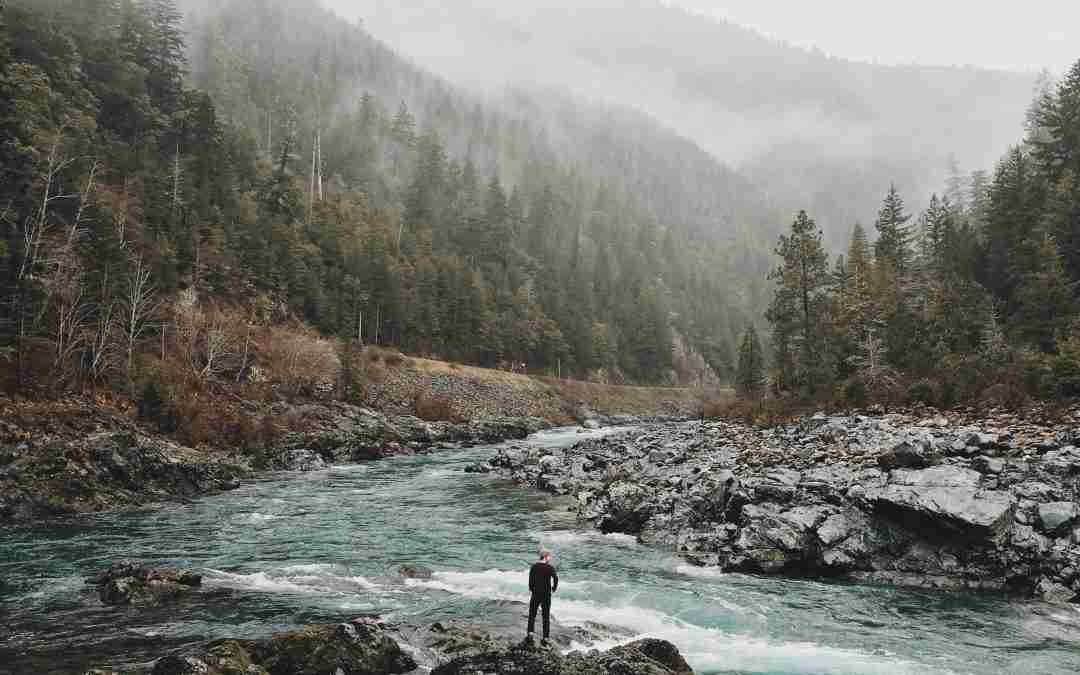 What To Do With Our Pain If We Want To Live Well