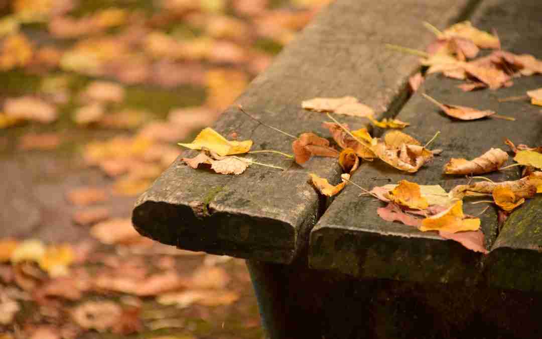 The Mystery of Thanks in the Midst of Trials