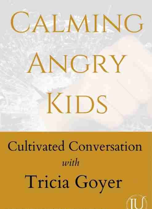 Calming Angry Kids {Cultivated Conversation with Tricia Goyer}